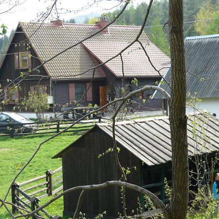 Ferienwohnung Salamandra Krempna Exterior foto