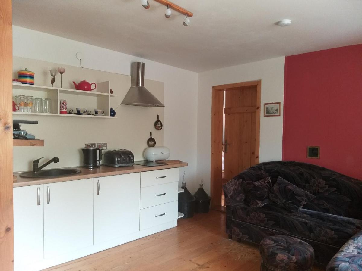 Ferienwohnung Salamandra Krempna Exterior foto