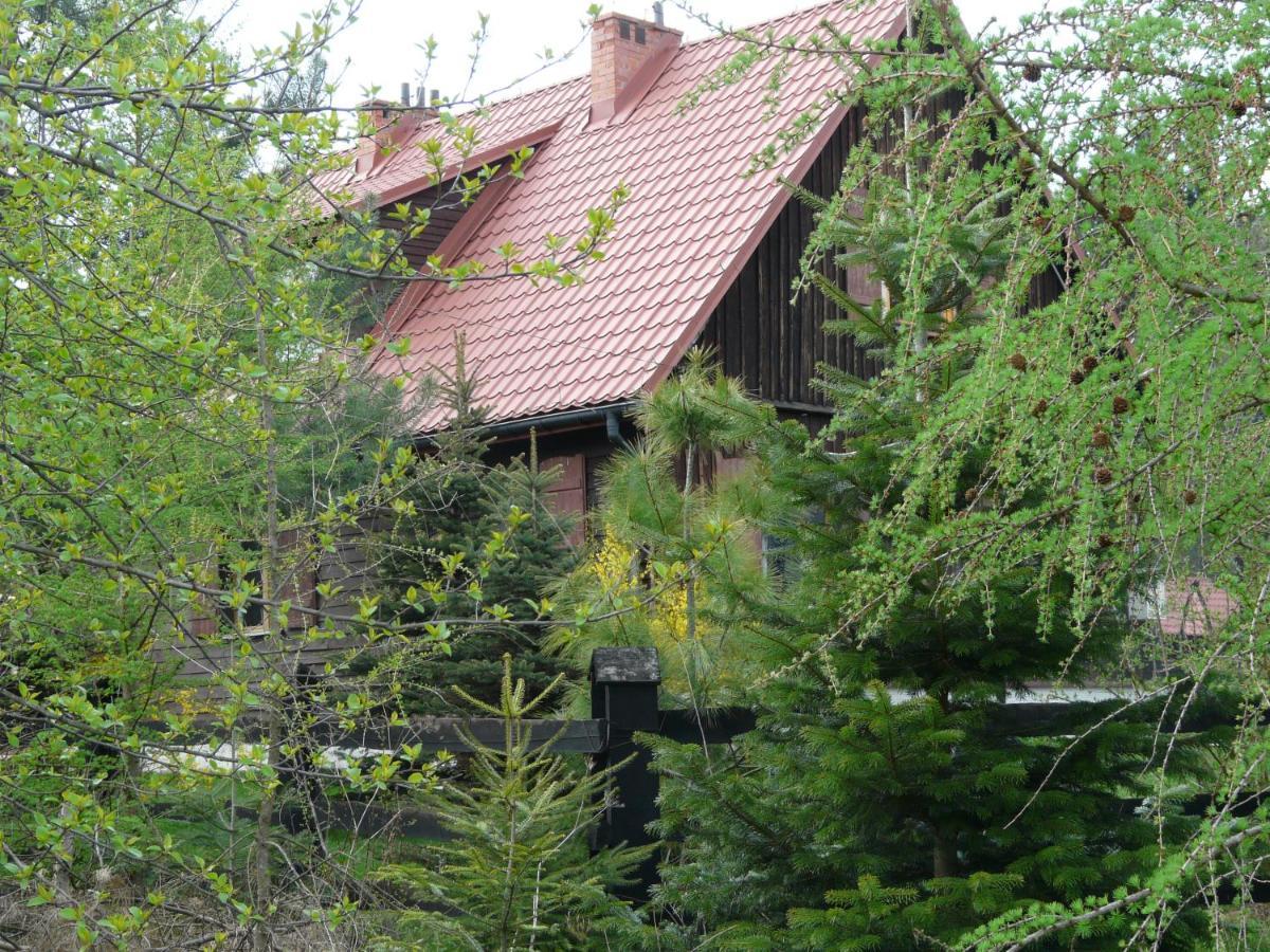 Ferienwohnung Salamandra Krempna Exterior foto