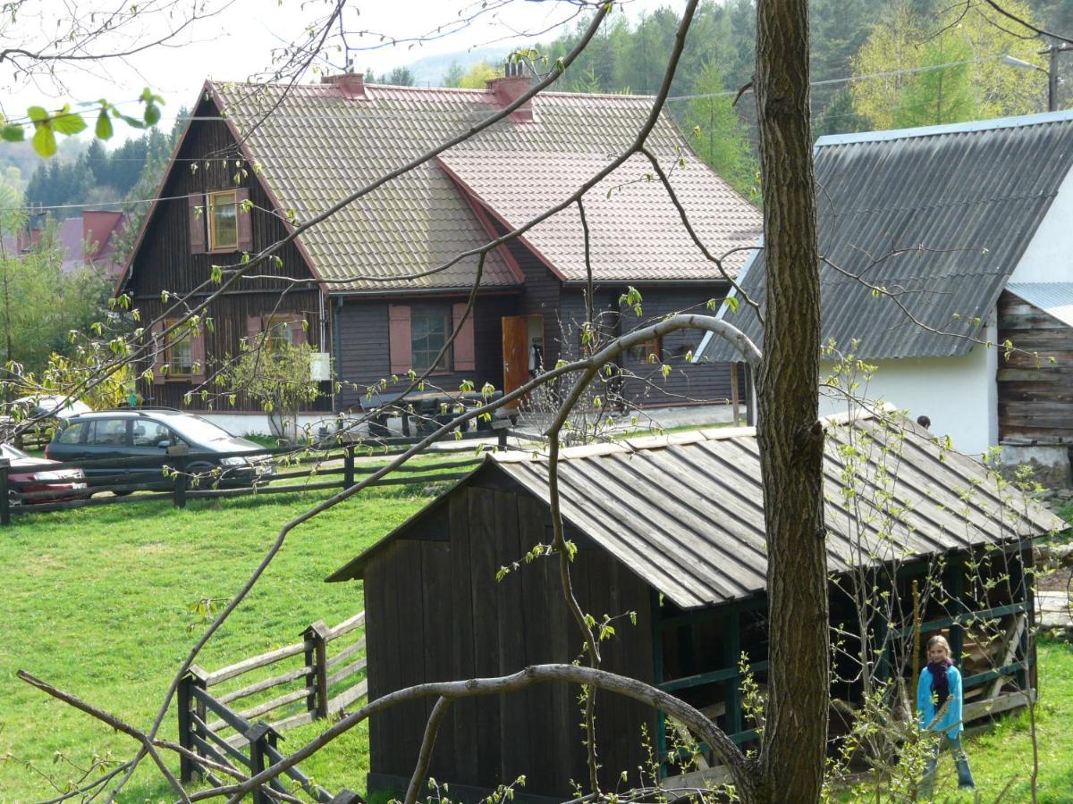 Ferienwohnung Salamandra Krempna Exterior foto